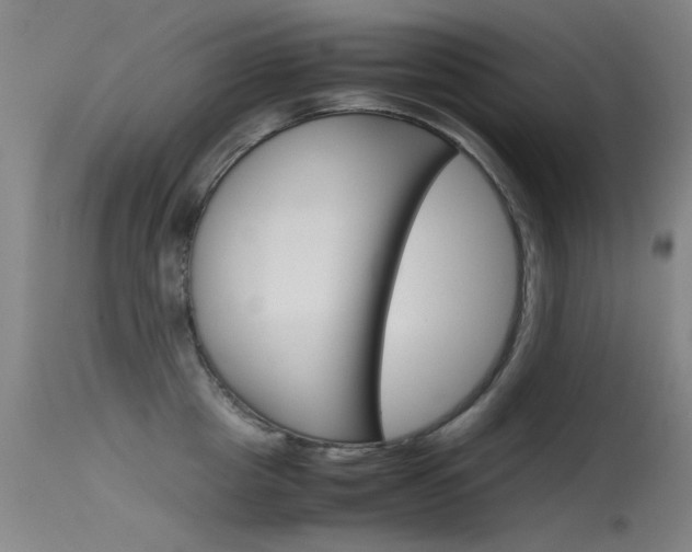 X0000115720857200911121101