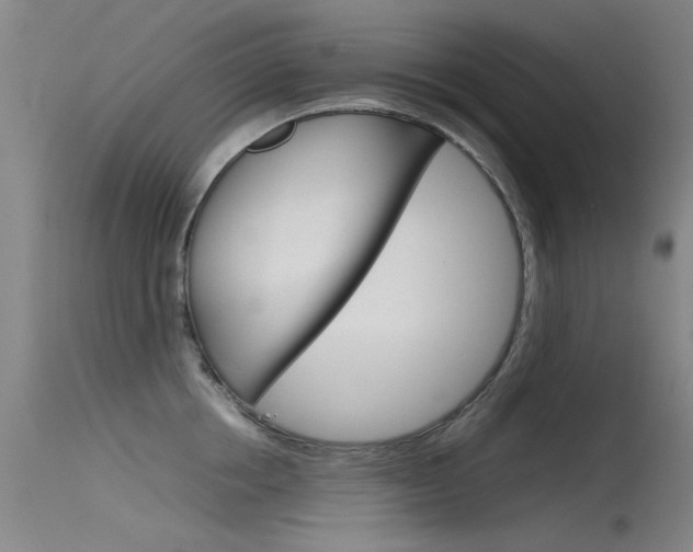 X0000115720858200911121101