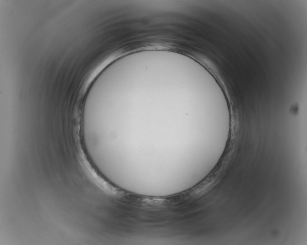 X0000115720859200911121101
