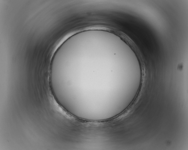 X0000115720860200911121101