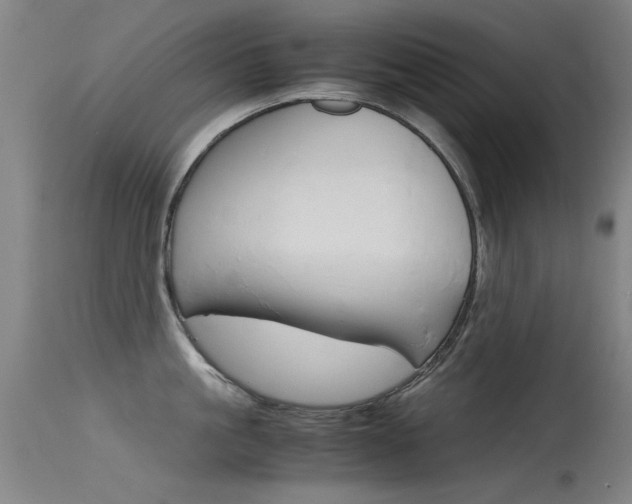 X0000115720861200911121101