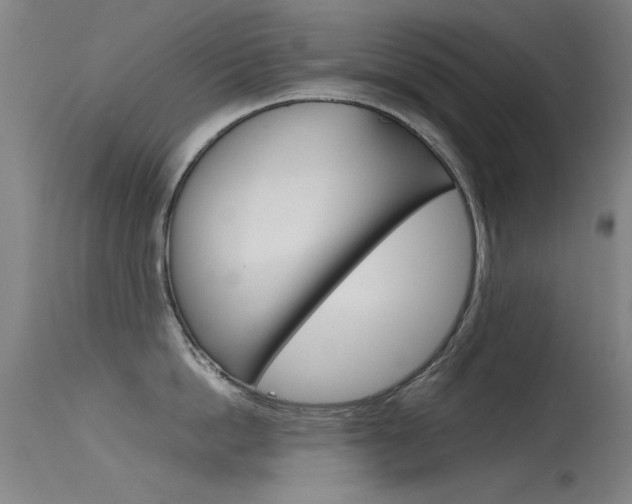 X0000115720862200911121101