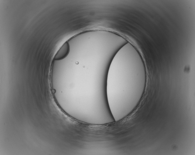 X0000115720863200911121101