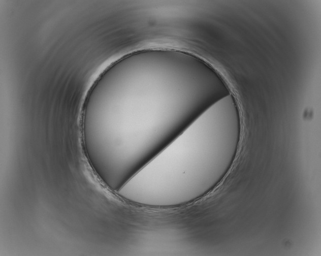 X0000115720864200911121101