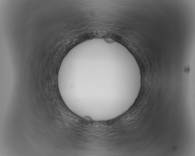 X0000115720865200911121100