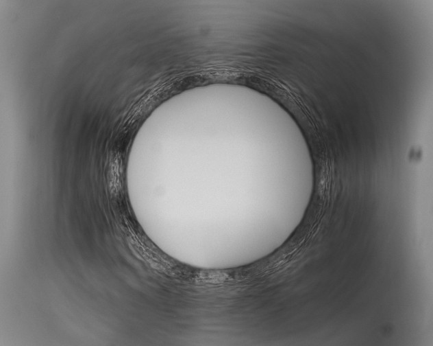 X0000115720866200911121100