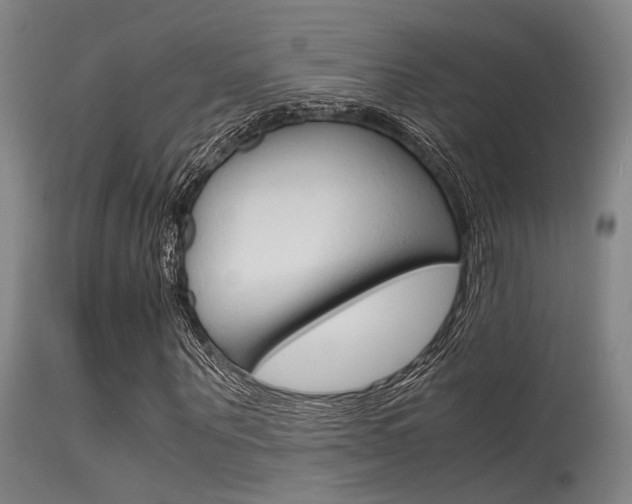 X0000115720867200911121100