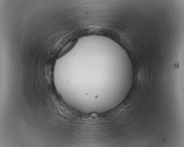 X0000115720868200911121100