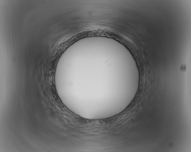 X0000115720869200911121100