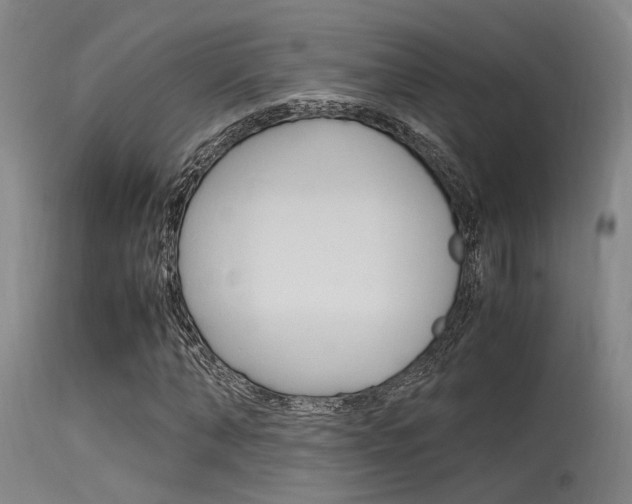 X0000115720870200911121100