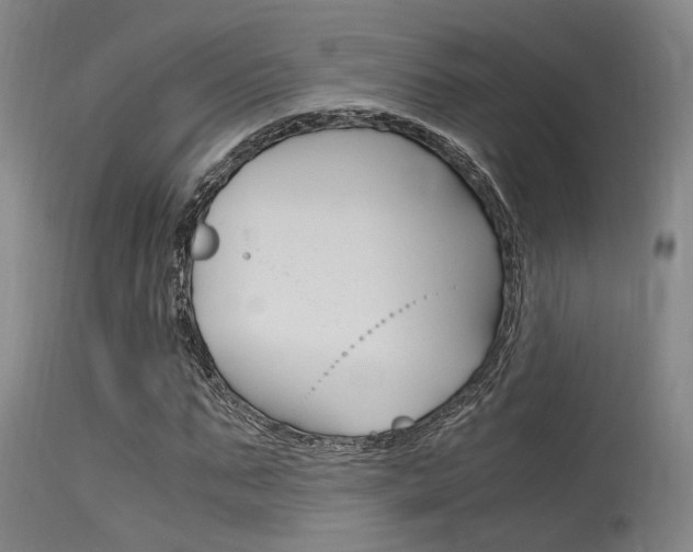 X0000115720871200911121100