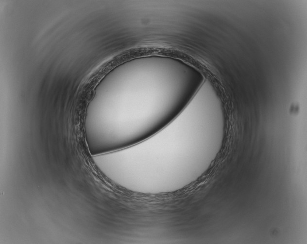 X0000115720872200911121100