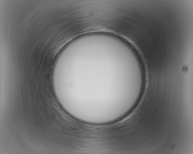 X0000115720873200911121100