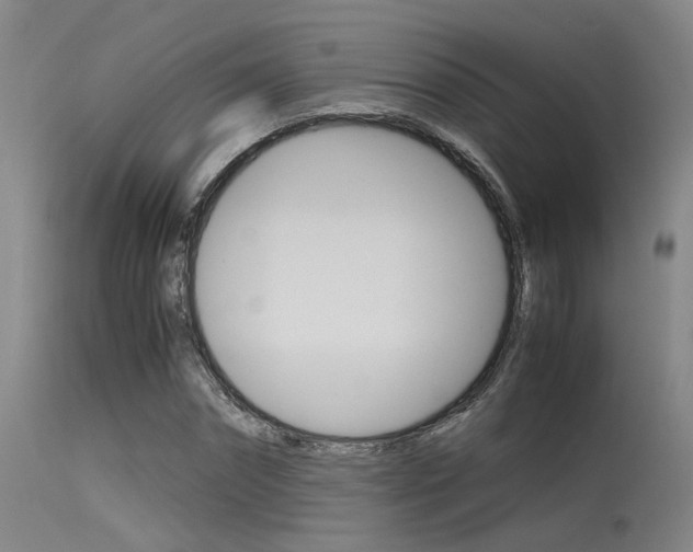 X0000115720874200911121100