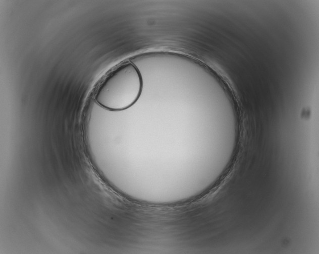 X0000115720876200911121100