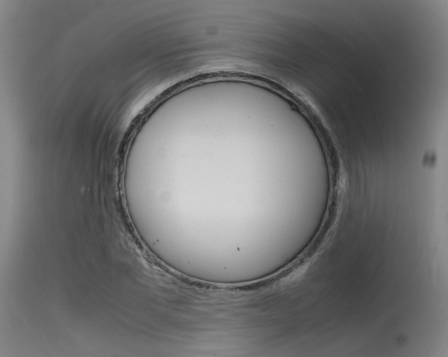 X0000115720877200911121100
