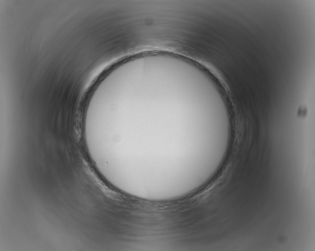 X0000115720878200911121100