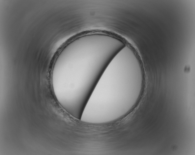 X0000115720879200911121100