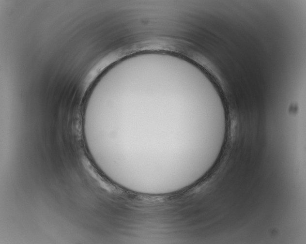 X0000115720882200911121100