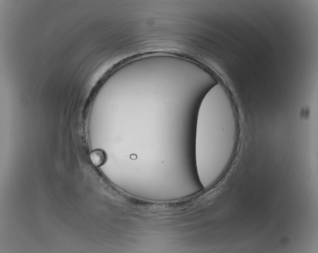 X0000115720883200911121100