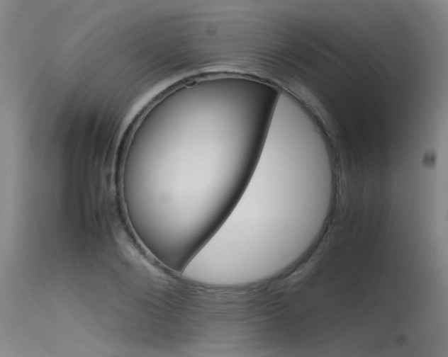 X0000115720884200911121100