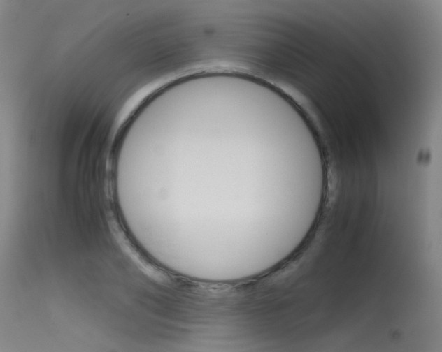 X0000115720886200911121100