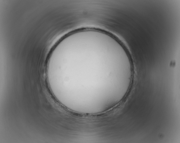 X0000115720887200911121100