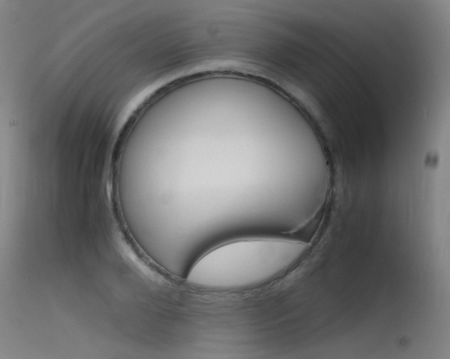 X0000115720888200911121100