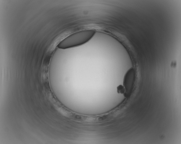 X0000115720889200911121100