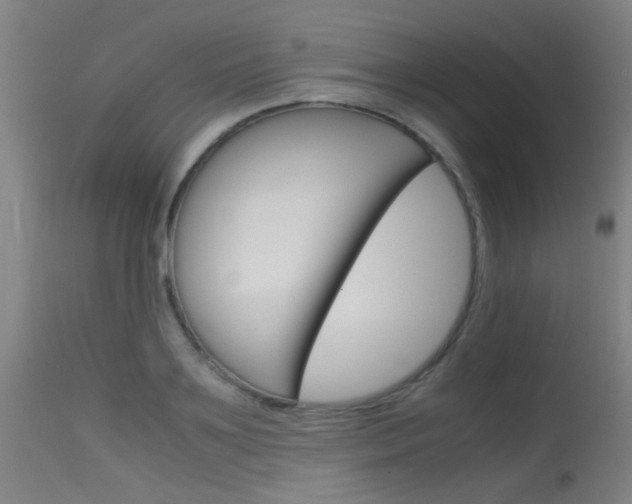 X0000115720891200911121100