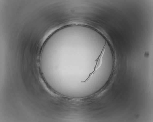 X0000115720893200911121100