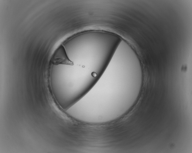 X0000115720896200911121100