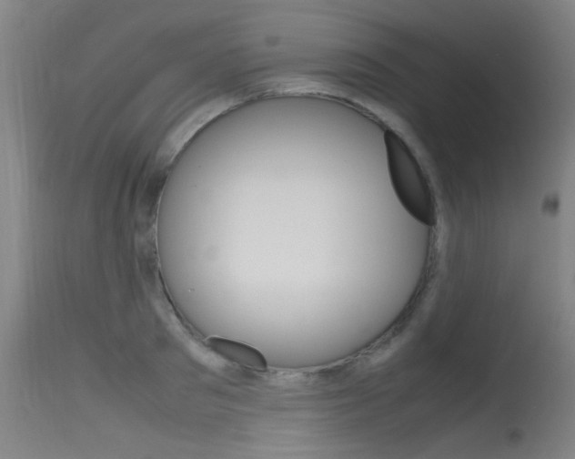 X0000115720897200911121100