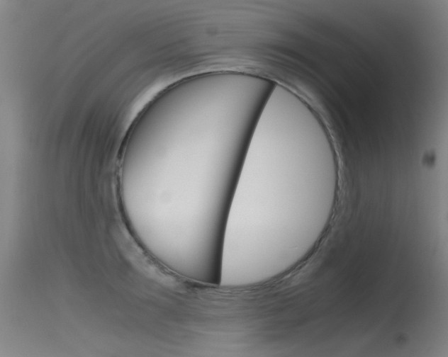 X0000115720899200911121100