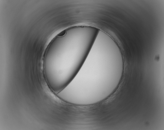 X0000115720900200911121100