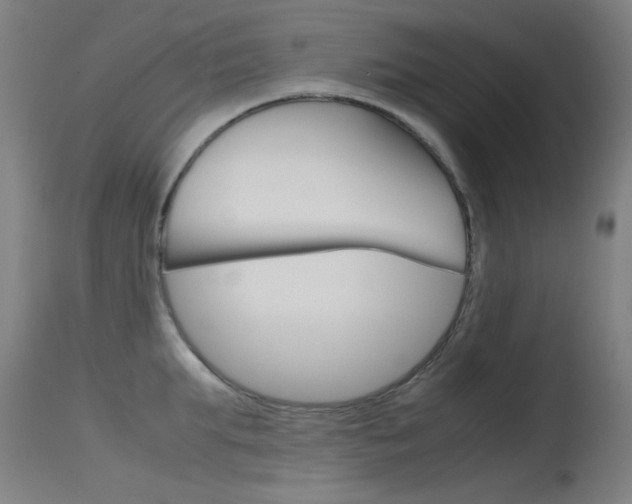 X0000115720903200911121100