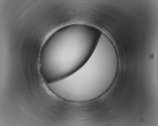 X0000115720904200911121100