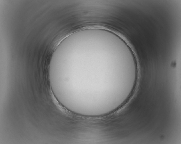 X0000115720905200911121100