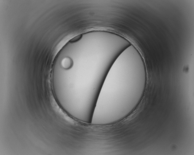 X0000115720906200911121100