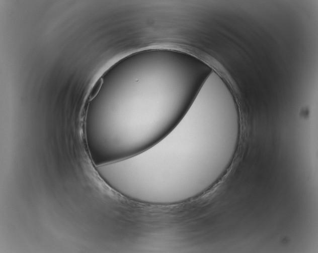 X0000115720908200911121100