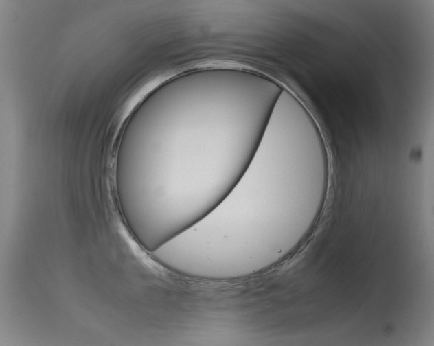 X0000115720909200911121100