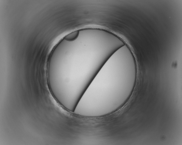 X0000115720910200911121100