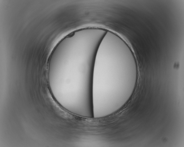 X0000115720911200911121100
