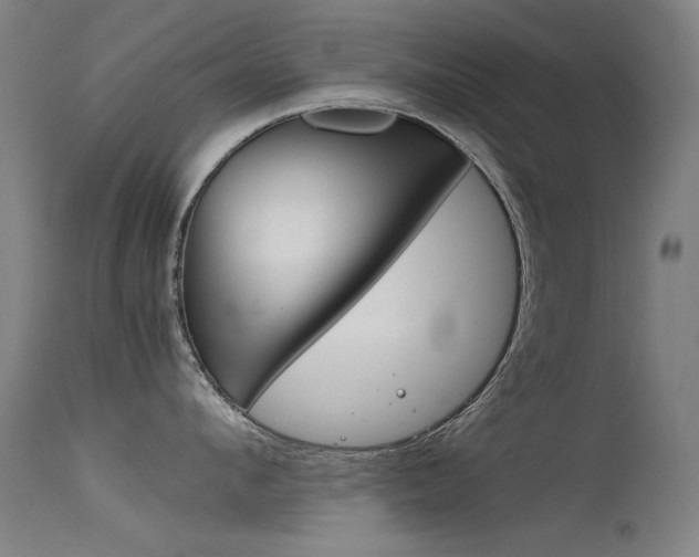 X0000115720912200911121100