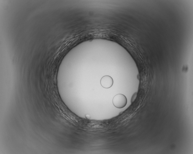 X0000115720913200911121059
