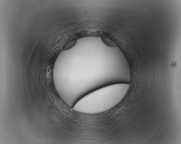 X0000115720914200911121059