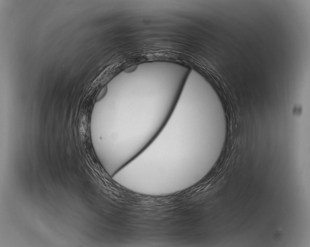 X0000115720915200911121059