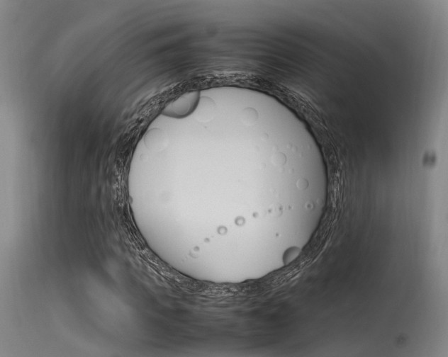 X0000115720917200911121059