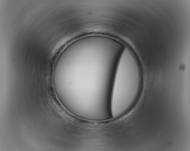 X0000115720922200911121059