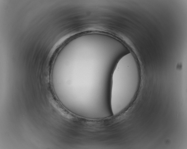 X0000115720931200911121059